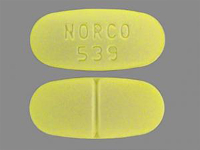 Norco 10/325 Pill